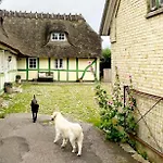 Staevnegaarden