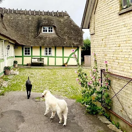Staevnegaarden