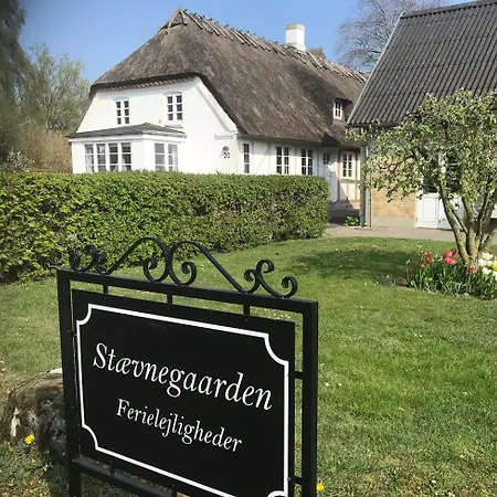 Staevnegaarden 3*
